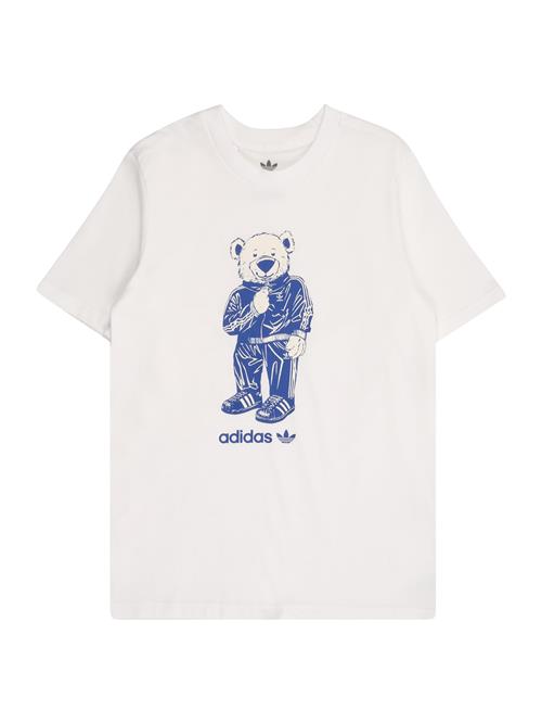 ADIDAS ORIGINALS Shirts 'BEAR'  blå / hvid