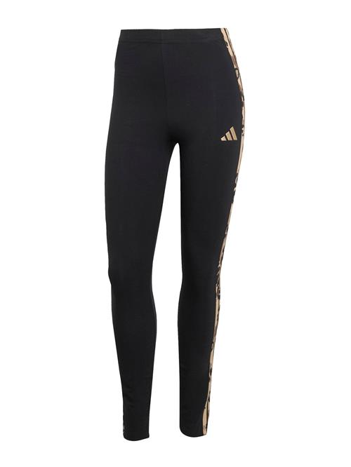 ADIDAS SPORTSWEAR Sportsbukser  brun / brokade / cappuccino / sort