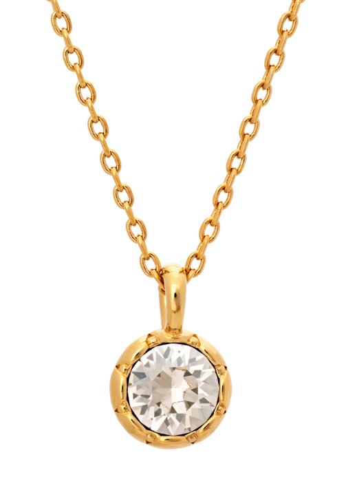 LILY AND ROSE Petite Victoria Necklace