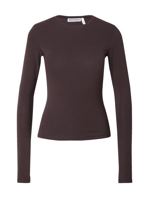 WEEKDAY Shirts  mørkebrun