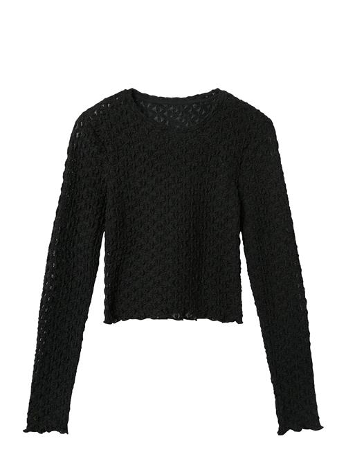 Nlfralma Ls Crop Top LMTD Black