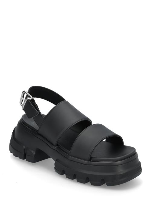 Tjw Chunky City Sandal Tommy Hilfiger Black