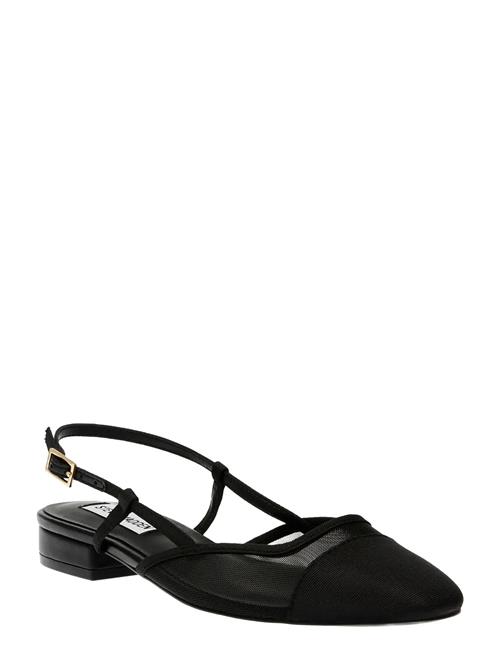 Belinda-M Steve Madden Black