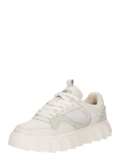 Apple of Eden Sneaker low 'LIMA 14'  offwhite / naturhvid
