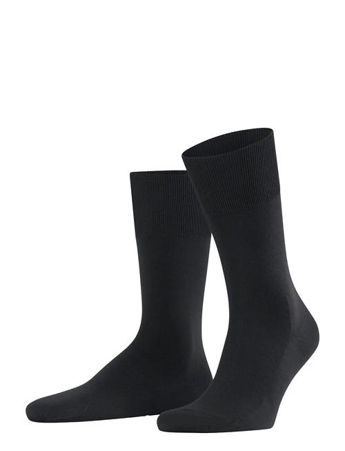 Falke Climawool So Falke Black