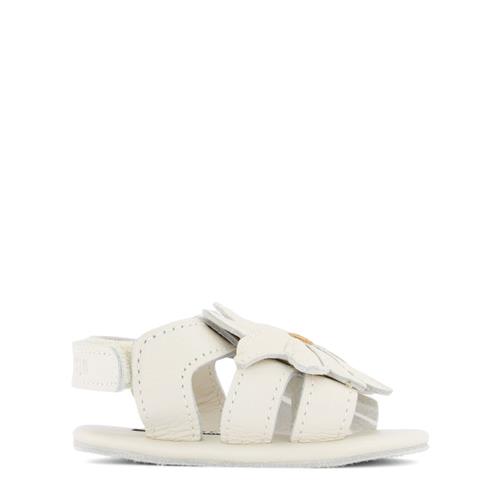 Donsje Amsterdam Tuti Fields Før-sko Skoer Violet 0-6 Months    0-6 måneder  Unisex