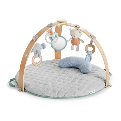 Ingenuity Multi Activity Babygym Grå 0-1 Y      Unisex