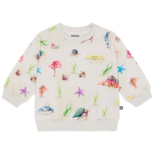 Molo GOTS Disc Sweatshirt Hermit Crab 98 cm  Creme  98 cm  Unisex