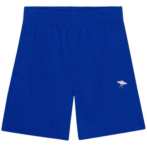 Molo Adian Shorts Reef Blue 164 cm  Blå  164 cm  mand