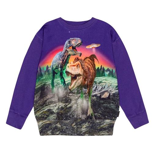 Molo GOTS Mattis Sweatshirt Dino Play 92 cm  Lilla  92 cm  mand