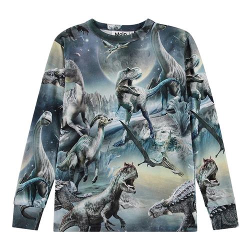 Molo GOTS Rill Langærmet T-shirt Dinoverse 110 cm  Grå  110 cm  mand