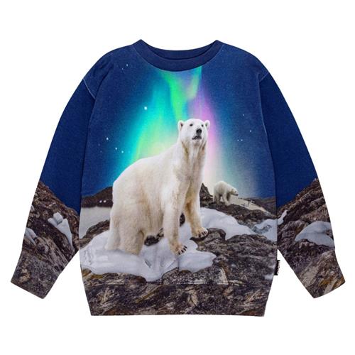 Molo GOTS Mattis Sweatshirt Polar Night 98 cm  Marineblå  98 cm  mand