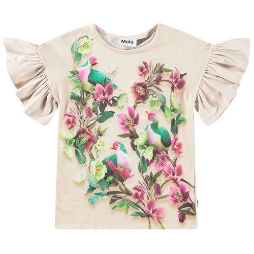 Molo GOTS Rayah T-shirt Fruit Doves 92 cm  Beige  92 cm  kvinde