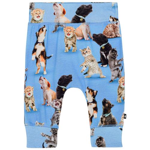 Molo GOTS Sammy Babybukser Joy Of Music 56 cm  Blå  56 cm  Unisex