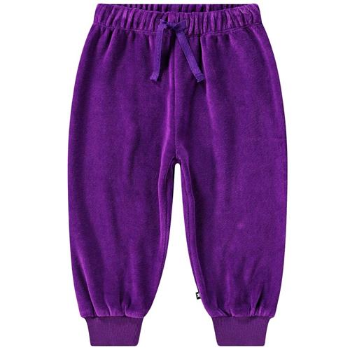 Molo Simeon Joggingbukser Lilla 68 cm  Lilla  68 cm  kvinde