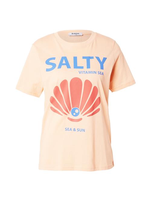 Sublevel Shirts  azur / hummer / pastelorange