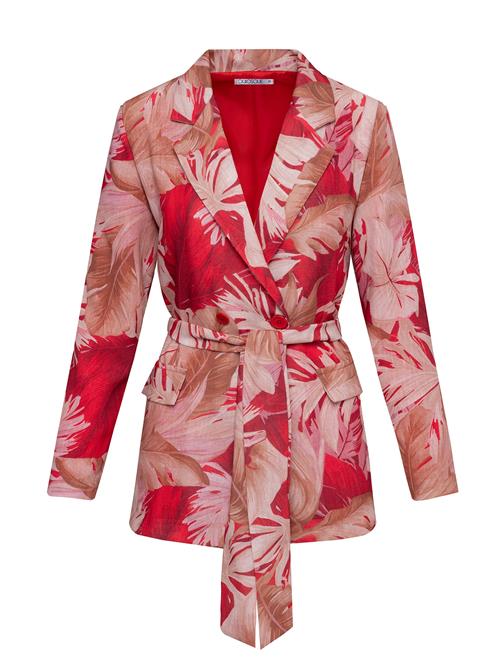 Quiosque Blazer  blandingsfarvet / cranberry