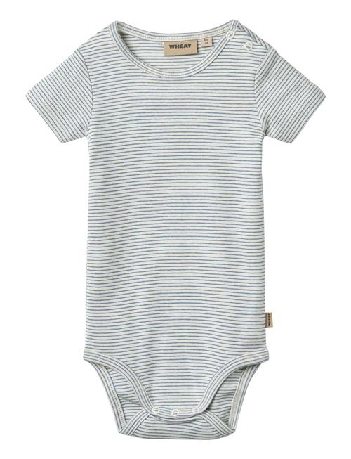 Body S/S Edvald Wheat Blue