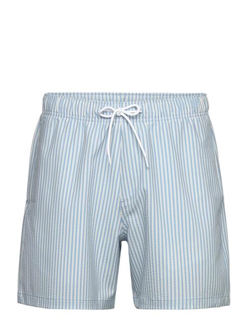 Hco. Guys Swim Hollister Blue
