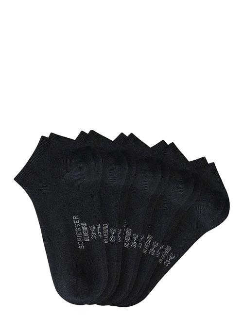 Socks Schiesser Black