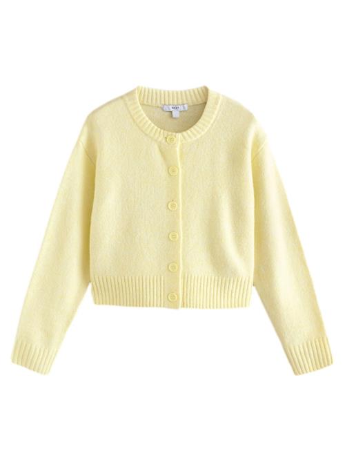 Next Cardigan  lysegul