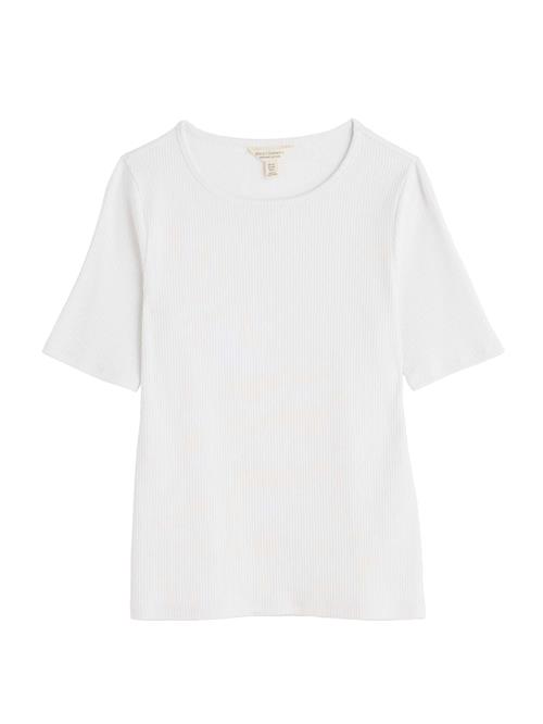 Seasalt Cornwall Shirts 'Gorse Lane'  hvid