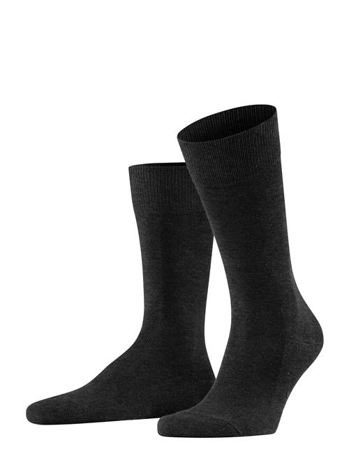 Family Everyday Casual Falke Grey