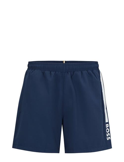 Dolphin BOSS Navy