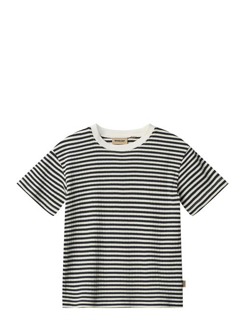 T-Shirt S/S Fabian Wheat Navy