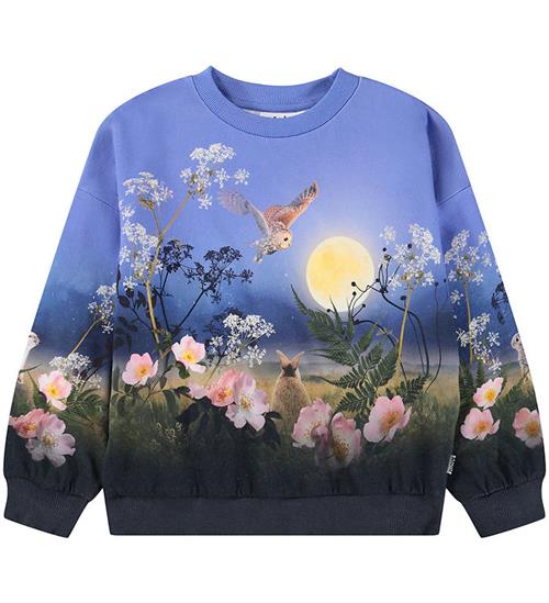 Molo Sweatshirt - Maxi - Magic Moonrise