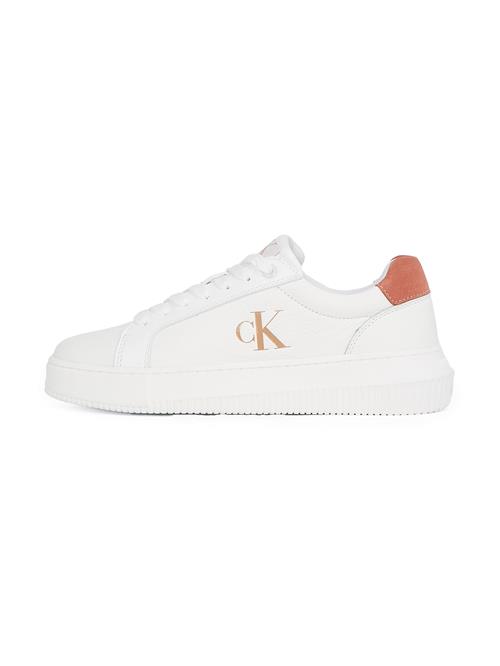 Calvin Klein Jeans Sneaker low  camel / mørkeorange / hvid