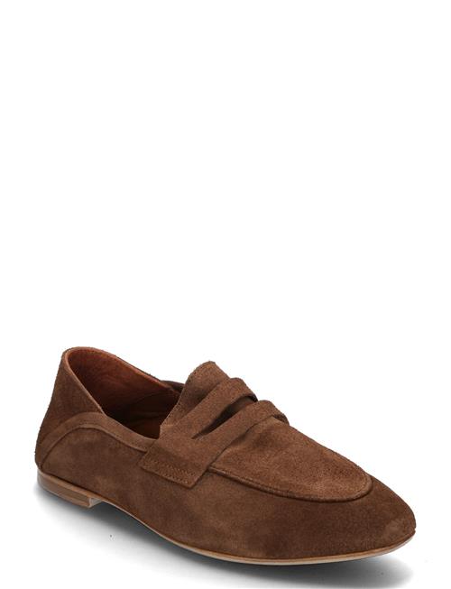 Lindsay Anonymous Copenhagen Brown