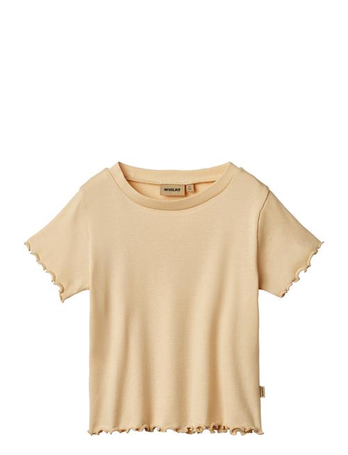 Rib T-Shirt S/S Irene Wheat Beige