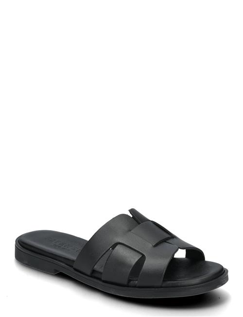 Aline Pavement Black