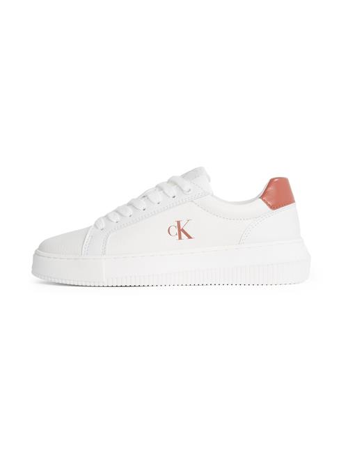 Calvin Klein Jeans Sneaker low  rustbrun / hvid