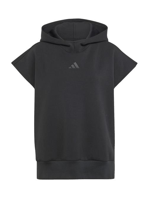 ADIDAS SPORTSWEAR Sportsweatshirt 'All Szn'  antracit / sort