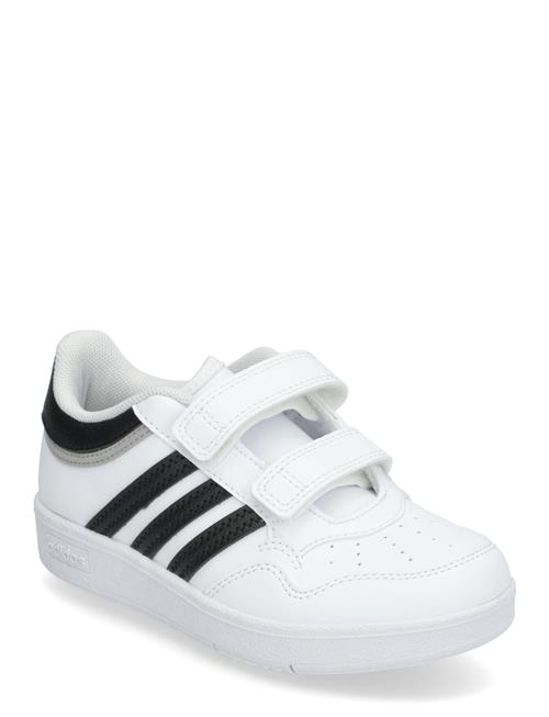 Hoops 4.0 Cf C Adidas Sportswear White