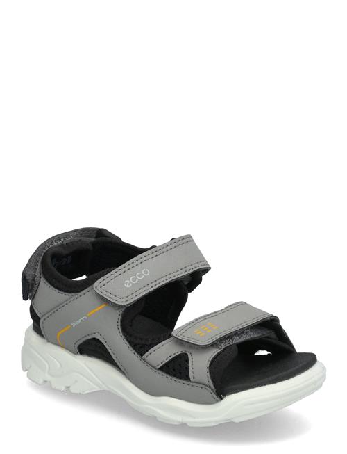 Biom Raft ECCO Black