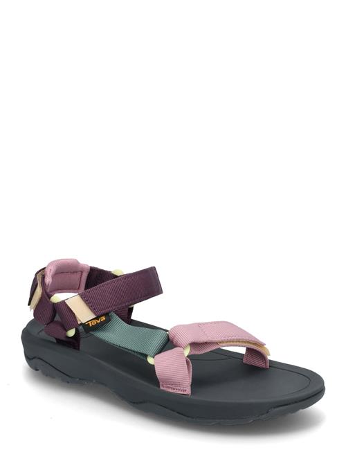 Hurricane Xlt 2 Teva Purple
