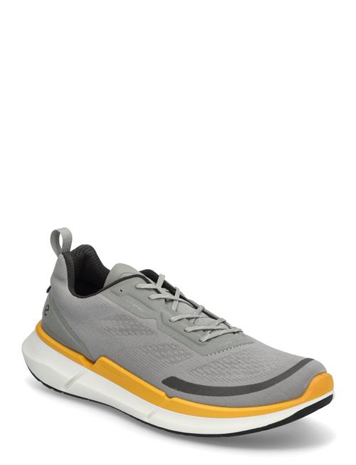 Biom 2.2 M ECCO Grey