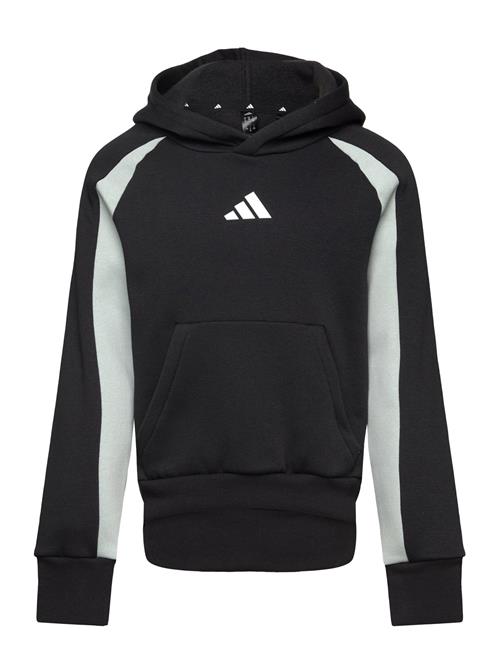 J Cb Fl Hd Adidas Sportswear Black