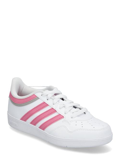Hoops 4.0 J Adidas Sportswear White
