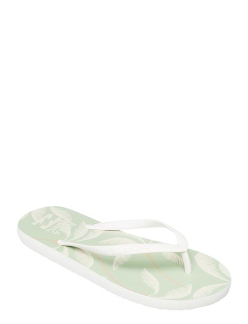 Dama Billabong Green