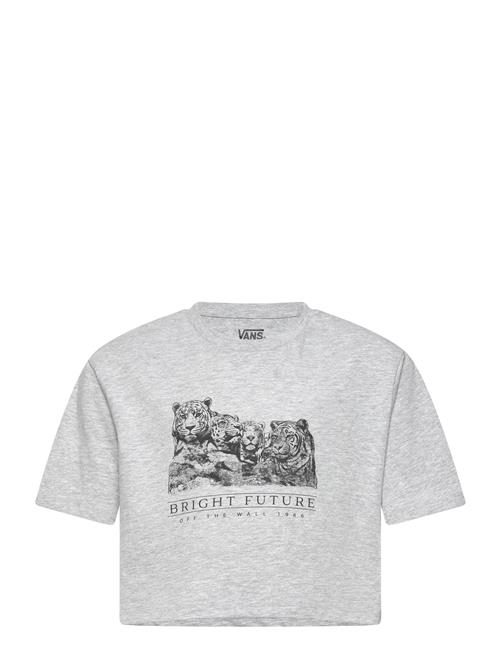 Bright Future Relaxed Crop Ss VANS Grey