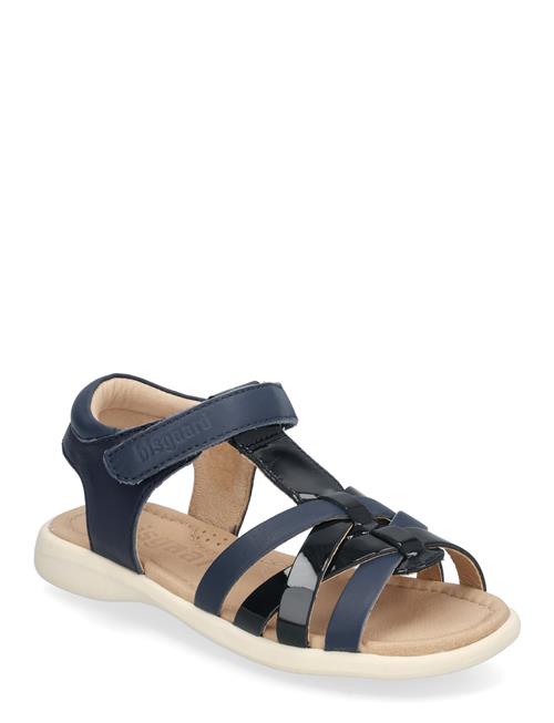 Bisgaard Sim Bisgaard Navy