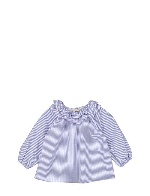 T Lla MarMar Copenhagen Blue