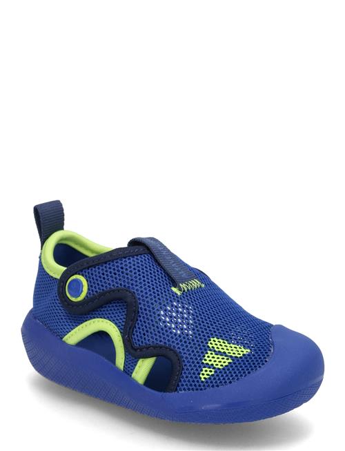 Altaventure 3 I Adidas Sportswear Blue