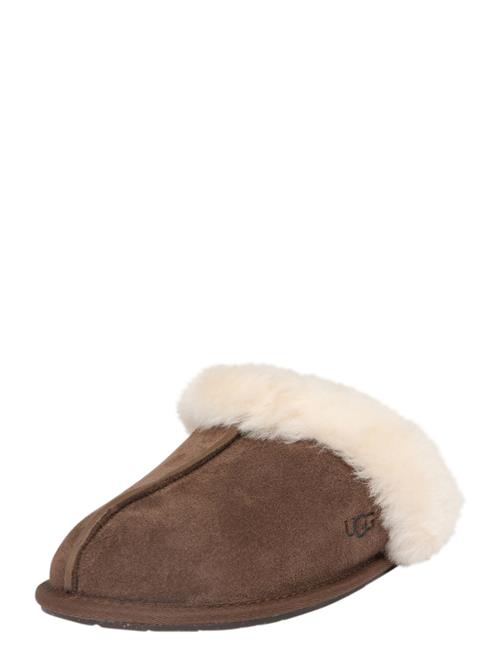 UGG Hjemmesko 'Scuffette'  brun / uldhvid
