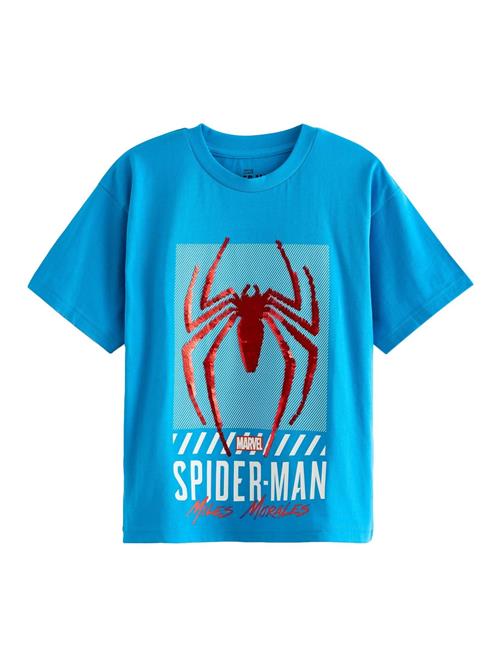 Next Shirts  blå / blandingsfarvet