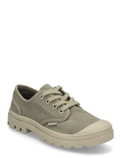 Pampa Oxford Palladium Green